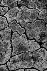 Iceland – Volcanic Mud Patterns