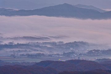 Fototapeta premium 蒜山高原の雲海