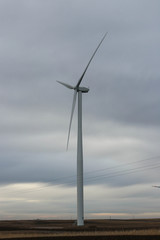 Fototapeta na wymiar Wind farm installed in the field, cloudy day