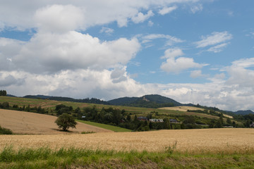 Stara Lubownia zamek © © Jakacki