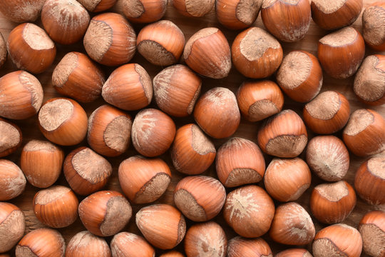 a backgound of hazelnuts in there shells