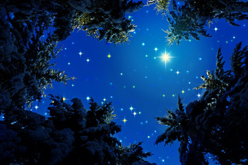 Fototapeta na wymiar Winter landscape with snow covered fir trees and stars sky.