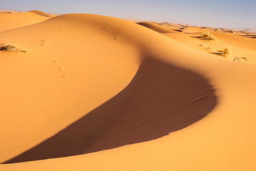 curved shadow on the giant dune  in desert in Morocco