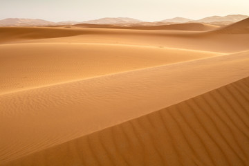 golden hills on the dune waves  in desert in Morocco