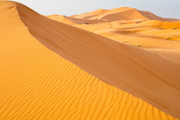 Fototapeta na wymiar golden hills in desert in Morocco