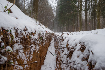the trench in the forest in winter