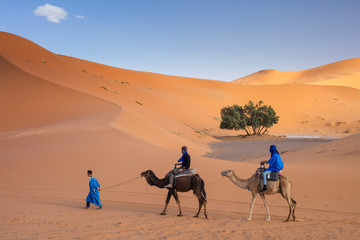 three men and two camels in caravan  in desert in Morocco