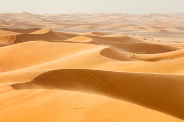 Vagues de dunes de sable dans le désert au Maroc