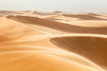 wind on the dunes in desert in Morocco