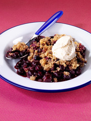 BLUEBERRY CRUMBLE CLOSE UP FOOD IMAGE