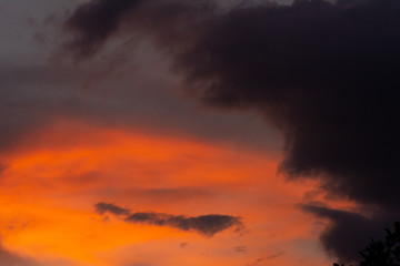 CIELO