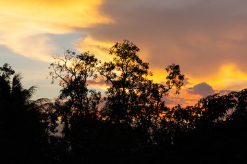 CIELO