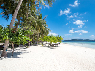 Tropical beach on the island Malcapuya, Philippines. Beautiful island with white sand and palm trees. November, 2018