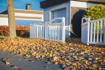 Herbst - Ahornblätter liegen auf dem Bürgersteig und im Vorgarten