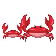 Crabs beach animals cartoon