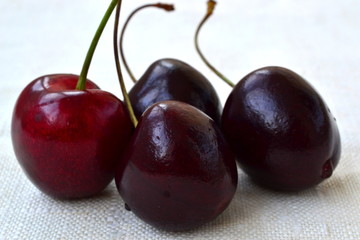 Red sweet cherry close up