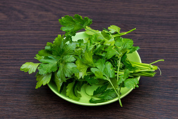  fresh parsley on a green plate