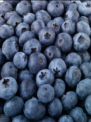 BLUEBERRIES CLOSE UP FOOD IMAGE