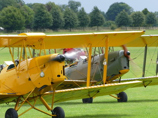 Tiger Moths Taxying