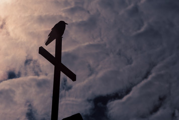 cross and crow silhouette 
