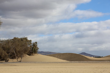 sommer sonne maspalomas