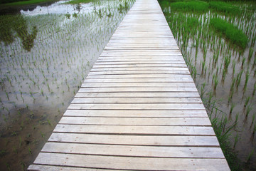 Fototapeta premium wooden bridge in the park