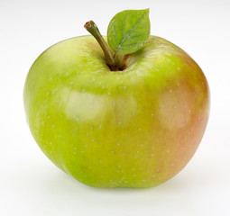 BRAMBLY COOKING APPLE CLOSE UP FOOD IMAGE