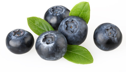 BLUEBERRIES   CLOSE UP FOOD IMAGE