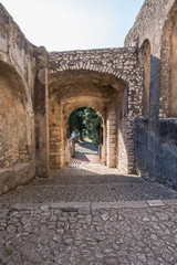 Fototapeta na wymiar Side entrance of an ancient castle. Vertical image,