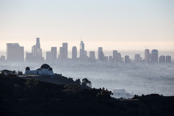 Hazy early morning view of downtown Los Angeles from popular Griffith Park above Hollywood,...
