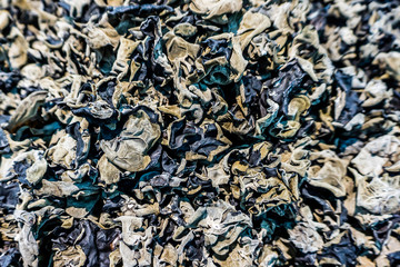 Chinese Wood Ear Mushroom