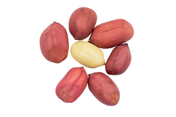  peanuts in a thin peel on a white background