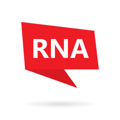 RNA (Ribonucleic Acid) acronym on a speach bubble- vector illustration