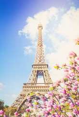 Fototapety  Wieża Eiffla, Francja