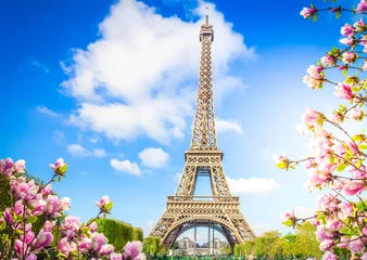 Foto op Aluminium Eiffeltoren, Frankrijk © neirfy