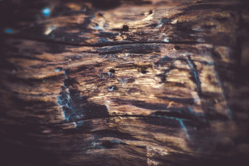 Close Up Of old Brown Wood Texture nature background