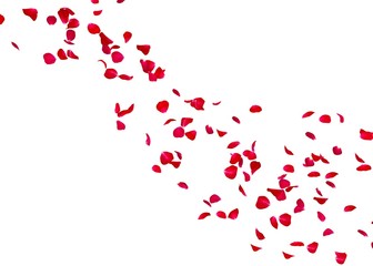 The petals of a red rose fly far into the distance © injenerker
