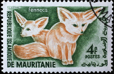 Two Fennec foxes on vintage postage stamp