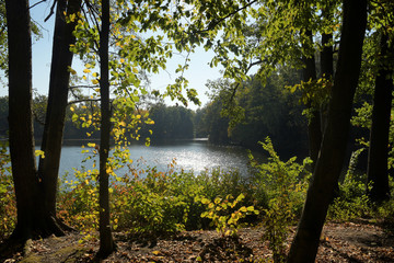 jungfernheidesee