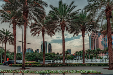 View from large palm trees and ponds on Dubay city