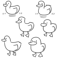 vector set of duck