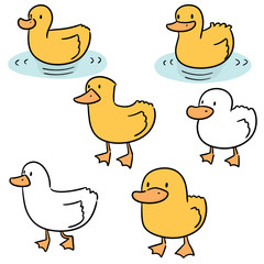 vector set of duck
