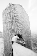 Dry split rail beach fence