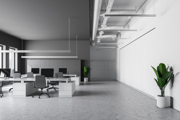 Fototapeta na wymiar White and gray office interior