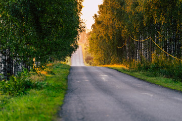 Obraz premium Sun Shining at the End of the Road with Birch Alley Besides it