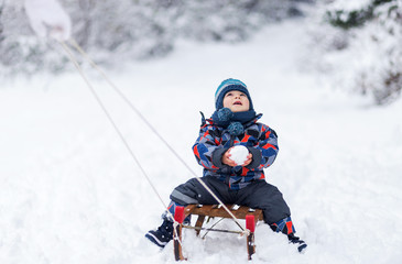 Fototapeta na wymiar Little boy enjoying a sleigh ride