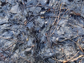 Muddy Black Leaves Textured Background