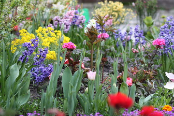 Flower garden in spring.