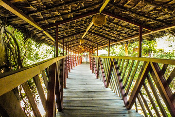 Wooden bridge in tropical forest