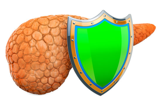Human pancreas with shield, protect concept. 3D rendering